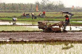 Người dân xã Cao Xá, huyện Lâm Thao, tỉnh Phú Thọ, sản xuất vụ Đông Xuân. (Ảnh: Trung Kiên/TTXVN)