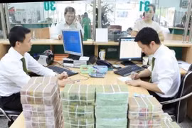 Ảnh minh họa. (Nguồn: TTXVN)