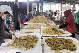 Nghề làm mứt gừng. (Ảnh minh họa: Thanh Thủy/TTXVN)