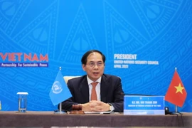 Việt Nam chủ trì họp cấp bộ trưởng HĐBA về khắc phục hậu quả bom, mìn