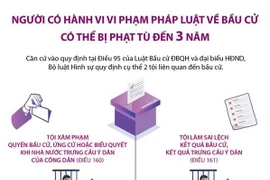 Người có hành vi vi phạm pháp luật về bầu cử có thể bị phạt tù 