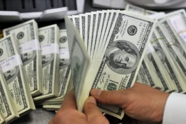 Nhân viên kiểm đồng USD tại một ngân hàng. (Ảnh: AFP/TTXVN)