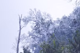 Hình ảnh băng tuyết xuất hiện, phủ kín đỉnh Khoan La San-A Pa Chải