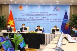 Đoàn đại biểu Quốc hội Việt Nam dự Phiên họp Ủy ban Xã hội. (Ảnh: Nguyễn Điệp/TTXVN)