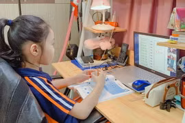 Học sinh Tiểu học học trực tuyến tại nhà. (Ảnh: TTXVN phát)