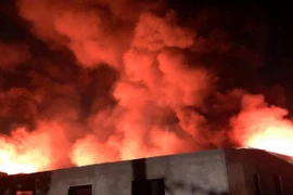 (Ảnh minh họa: TTXVN phát)