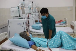 Ảnh minh họa. (Ảnh: Lê Đức Hoảnh/TTXVN)