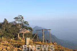 Bản Pà Cò đón Xuân. (Ảnh: Thúy Hiền/Bnews/TTXVN/Vietnam+)