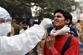 Nhân viên y tế lấy mẫu xét nghiệm COVID-19 cho người dân tại New Delhi, Ấn Độ. (Nguồn: ANI/TTXVN)