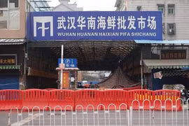 Chợ thủy sản Hoa Nam ở Vũ Hán. (Nguồn: sg.news.yahoo.com)
