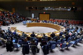 Toàn thể phiên họp của Hội đồng Bảo an ngày 11/3. (Ảnh: Khắc Hiếu/TTXVN)