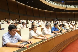 Các đại biểu Quốc hội biểu quyết thông qua Luật sửa đổi, bổ sung một số điều của Luật Phòng, chống thiên tai và Luật Đê điều. (Ảnh: Văn Điệp/TTXVN)