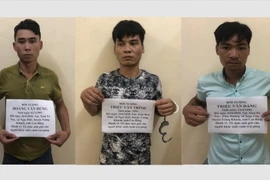 3 đối tượng tổ chức đưa người xuất cảnh trái phép bị bắt giữ. (Ảnh: Nông Văn Đạt/TTXVN)