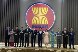 Đại diện các nước trong Ủy ban hợp tác chung ASEAN-Nhật Bản (AJJCC). (Ảnh: Hữu Chiến/TTXVN)