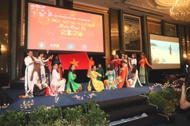 Một tiết mục văn nghệ tự biên tự diễn của Cộng đồng người Việt Nam tại Singapore. (Ảnh: Xuân Vịnh/TTXVN)