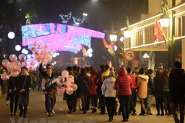 Ảnh minh họa. (Nguồn: Vietnam+)