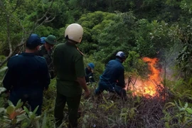 Trời nắng nóng, vùng cháy ở đỉnh núi khiến công tác dập lửa gặp khó khăn. (Nguồn: TTXVN phát)