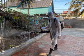 Phun thuốc khử trùng ở thôn Văn Lâm 3. (Ảnh: Công Thử/TTXVN)