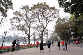 Ảnh minh họa. (Nguồn: TTXVN)