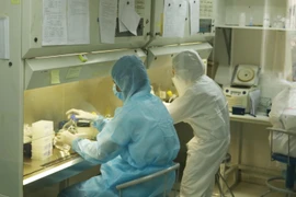 Nhân viên Viện Pasteur Thành phố Hồ Chí Minh miệt mài trong phòng xét nghiệm tìm virus SARS-CoV-2. (Ảnh: Đinh Hằng/TTXVN)