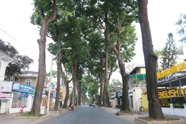 Đường Trần Quốc Thảo, Quận 3, Thành phố Hồ Chí Minh giờ đây vắng bóng người và cả phương tiện giao thông. (Ảnh: Thanh Vũ/TTXVN) 