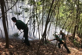 Lực lượng quân đội chữa cháy rừng tại Núi Trà Phương, Hải Phòng. (Nguồn: Vietnam+)