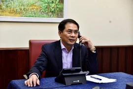 Thứ trưởng Thường trực Bộ Ngoại giao Bùi Thanh Sơn điện đàm. (Nguồn: TTXVN phát)