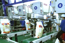 Đóng gói gạo xuất khẩu. (Ảnh: Vũ Sinh/TTXVN)