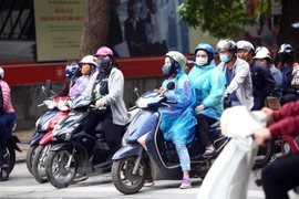 Ảnh minh họa. (Nguồn: TTXVN)