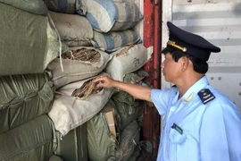 Lực lượng chức năng kiểm tra lô container nghi vấn. (Nguồn: TTXVN)