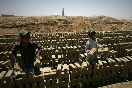 ILO kêu gọi đấu tranh chống mọi hình thức lao động cưỡng bức