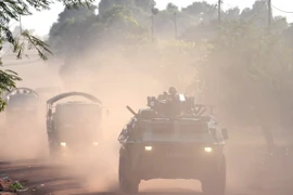 LHQ trừng phạt nhiều nhân vật lãnh đạo Cộng hòa Trung Phi