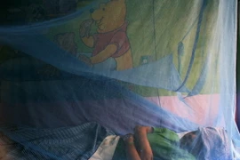 Phát hiện loại protein giúp phòng chống bệnh sốt xuất huyết