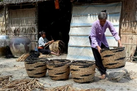 "Không thể tiếp cận đào tạo nghề cho nông dân như cho học sinh"