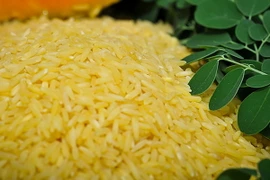 Giá gạo ở Philippines tăng cao do chương trình hạn chế nhập khẩu