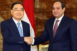 Hàn Quốc xúc tiến dự án xây nhà máy điện nguyên tử tại Ai Cập