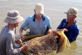 Việt Nam tham dự đối thoại xuất nhập khẩu nông, thủy sản tại Mexico