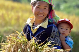 [Infographics] Ấn tượng Việt Nam trong cuộc chiến xóa đói giảm nghèo