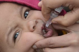 Ảnh minh họa. (Nguồn: AFP-TTXVN)