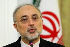 Giám đốc Cơ quan Năng lượng Nguyên tử Iran Ali Akbar Salehi. (Nguồn: presstv.ir)