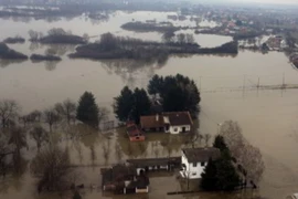 Ảnh minh họa. (Nguồn:http://dalje.com)