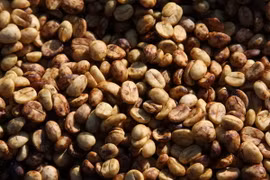 Nguồn cung dồi dào kéo giá càphê, cacao thế giới tiếp tục giảm
