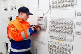 Phần Lan và Nga ký thỏa thuận xây dựng nhà máy điện hạt nhân