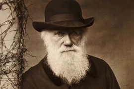 Các nhà khoa học đã tìm ra lời giải cho “thế lưỡng nan của Darwin”?