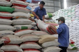 Ảnh minh họa. (Nguồn: Đình Huệ-TTXVN)