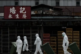 Nhân viên y tế tiêu hủy gia cầm tại một chợ gia cầm ở Hong Kong, Trung Quốc. (Nguồn: AFP-TTXVN)