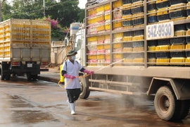 Ảnh minh họa. (Nguồn: An Hiếu-TTXVN)