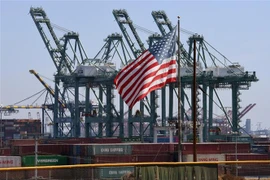 Container hàng hóa được xếp dỡ tại cảng Long Beach, Los Angeles, Mỹ. (Ảnh: AFP/TTXVN)