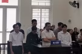 Quang cảnh vụ xét xử. (Ảnh: Kim Anh/Vietnam+)