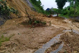 (Ảnh minh họa: Việt Hoàng/TTXVN)